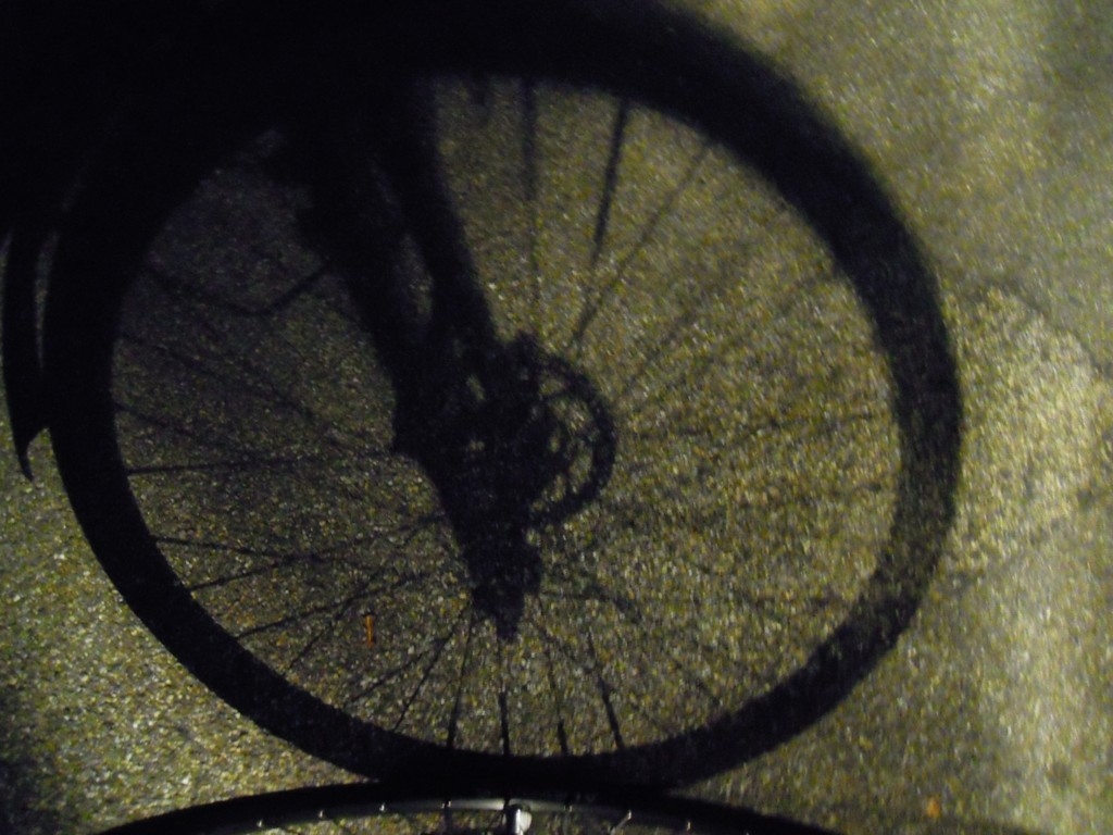 Saisonabschluss 2012_72