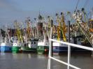 richtung_nordsee_076