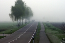 Brevet 200 km / 2014