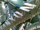 ankum28122007b