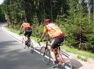 Schwarzwald 037