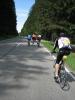 Schwarzwald 045