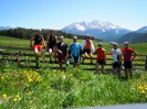 RSG in Tramin (Rainer's Bilder)_34