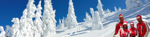 Schnee in Flachau